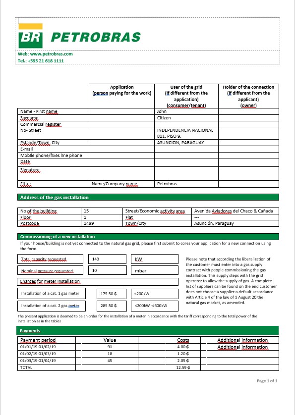Paraguay Petrobras Paraguay Operations and Logistics gas company in Word format